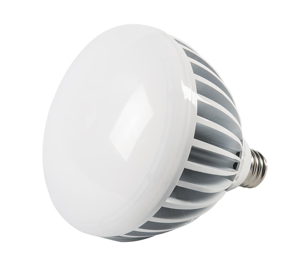 48W Bare Lamp, 5,700 lm, 175W MH Equiv., Medium Base