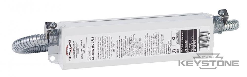 650 Lumen 2 Pin CFL