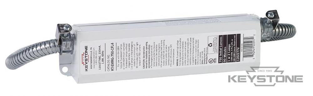 750 Lumen 4 Pin CFL