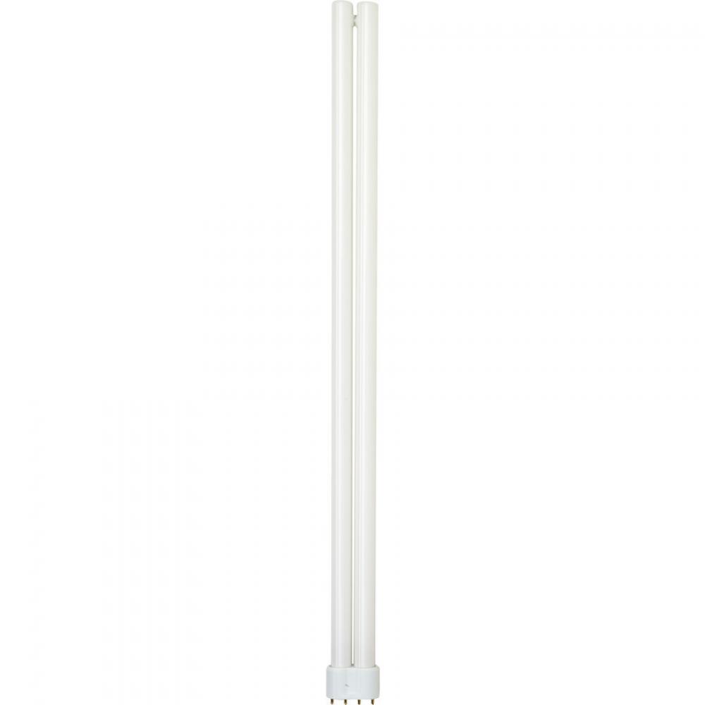 40W Duo-Tube 4100K 2G11 Base Compact Fluorescent