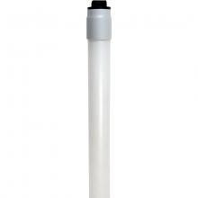 Eiko. LED43WT8/96/840-R17D-G8 - Glass LED Bypass Line Voltage DBL Ended T8 8FT 43W-5500LM 4000K 80+CRI R17D 120-277V