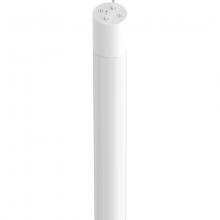 Eiko. LED26WT8/48/840-G8D - LED GLASS BYPASS/LINE VOLTAGE  SINGLE ENDED  DLCV4.3 T8 4FT 26W-3500LM 4000K 80+CRI Bi-Pin