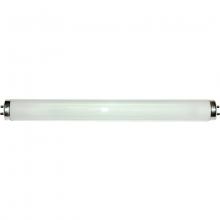 Eiko. F40T12/CW/HE - 40W Cool White 4100K T-12 Medium Bi-pin Base